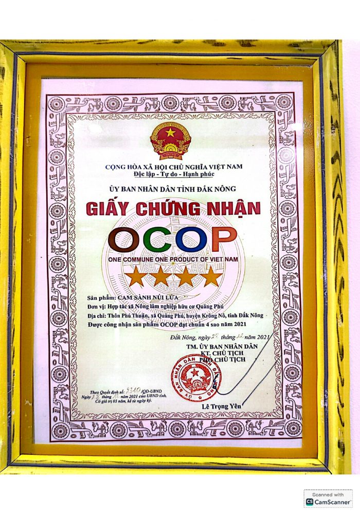 Giấy đăng ký kinh doanh HTX Quảng Phú_page-0007