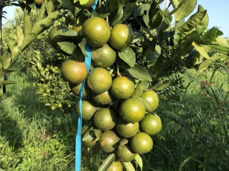 z6646311487739_5c2c87ee40941c9c28a21df8b52ce948